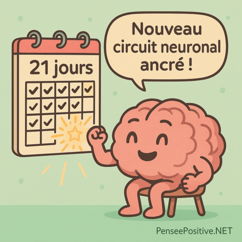 🧠 Exercices pour reprogrammer son cerveau : 7 techniques efficaces validées par la science 10 cerveau plan 21 jours reprogrammation habitude